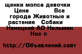 щенки мопса девочки › Цена ­ 25 000 - Все города Животные и растения » Собаки   . Ненецкий АО,Нельмин Нос п.
